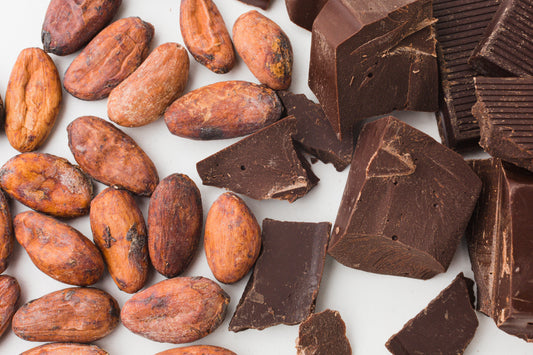 No-Bake Chocolate Oat Bites