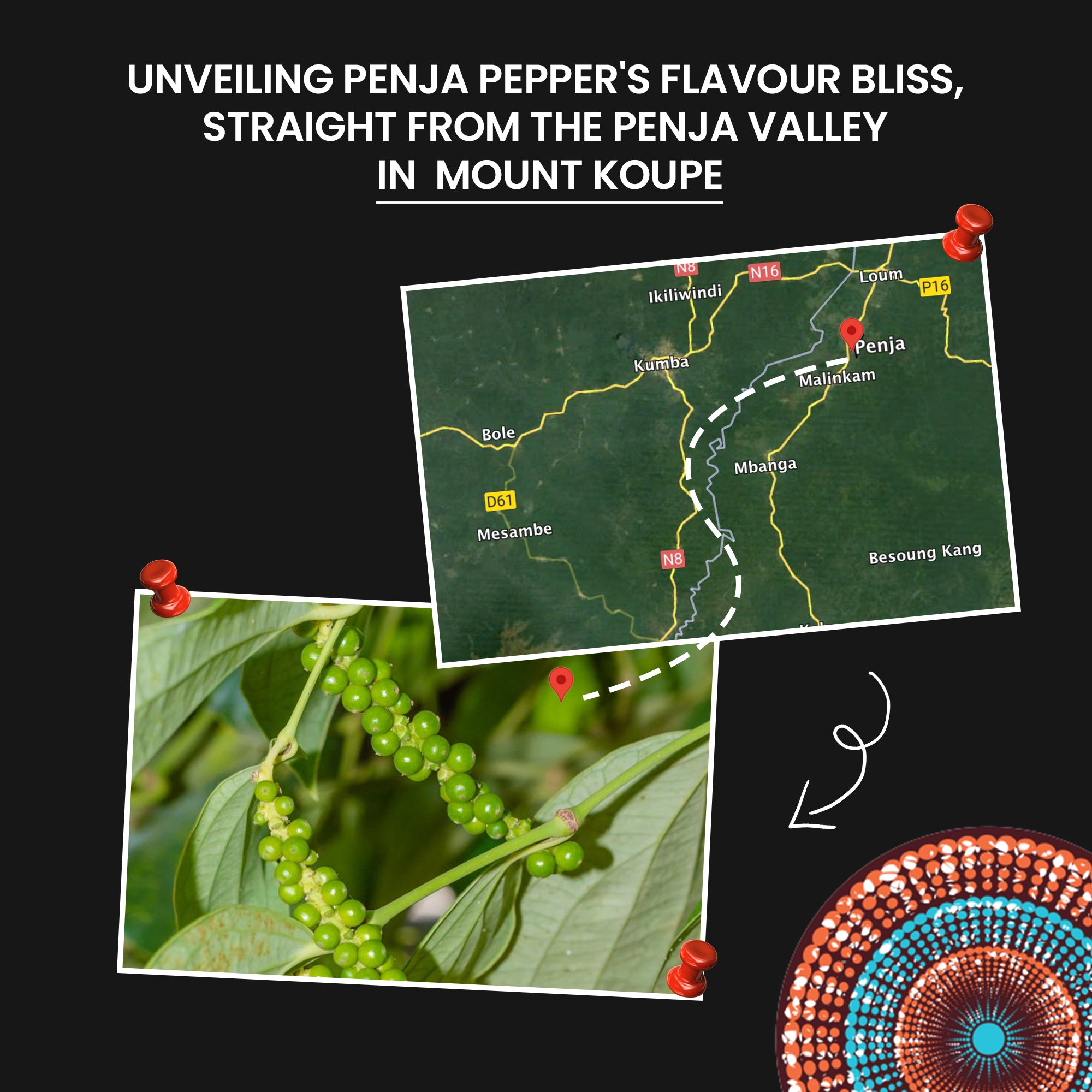 Fire Mountain Black Penja Pepper 100g - Great Taste Award Winner, Natural Black Whole Peppercorn Berries from Single Origin of Penja Valley, Peppercorns for grinder refill.
