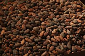 Fire Mountain Cameroon Bulk Cocoa